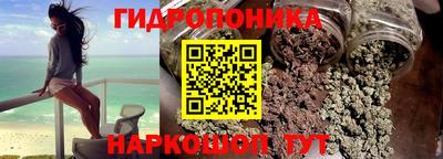 PSILOCYBIN Кандалакша