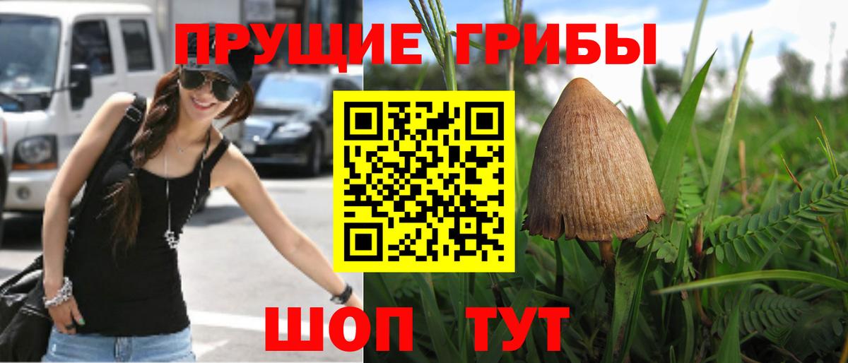 Южно-Сахалинск  что такое   Вход с VPN  Псилоцибиновые грибы Psilocybe  Галлюциногенные грибы Cubensis 